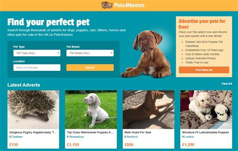 pets4homez|pets4homes website.